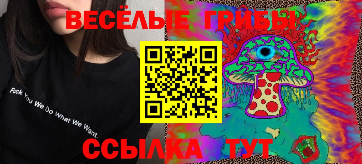 Псилоцибиновые грибы мицелий Тулун